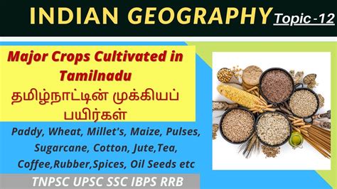 About tamil nadu crop varieties
